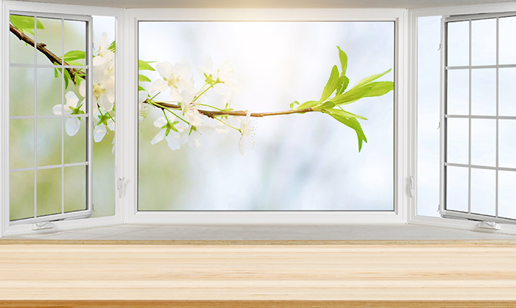 公司建设网站如何选择域名?