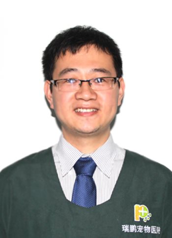 企业公司网站做优化推广的作用有什么？