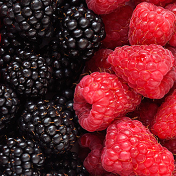 怎样才能促进网页快速收率