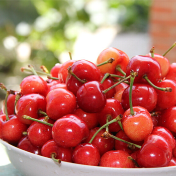 在网站建设中代码这么写，才是seo正确的打开方式！