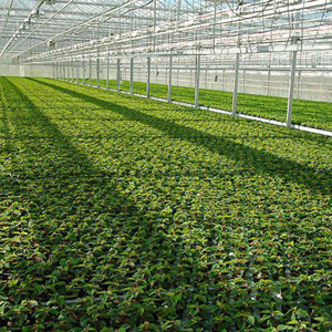 淘宝上的中小卖家为什么越来越难做？