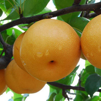 网站要留住用户必先解决的7个因素