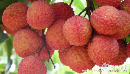 网站建设构图让网页设计出彩的技巧