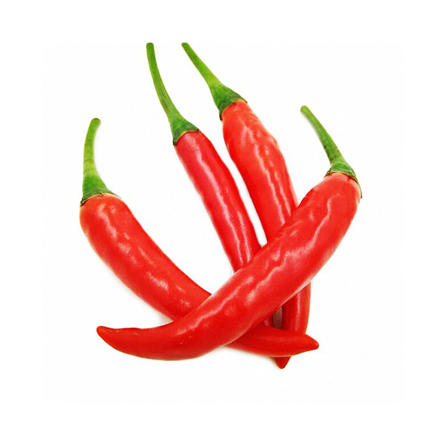 'Son of Tibet' revels in plateau's bright future