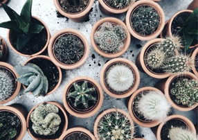 企业做网站什么是网站静态系统？