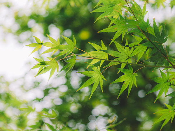 如何去优化企业网站的长尾关键词