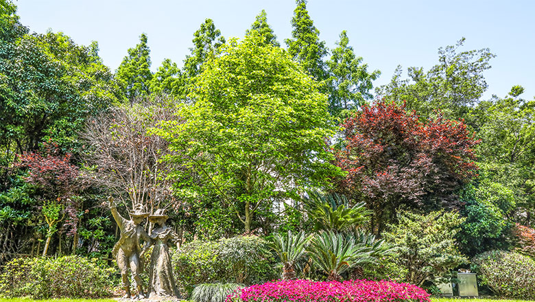 网站域名出现问题应该如何处理？